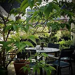 Du Jardin 4*