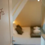 Du Jardin 4*