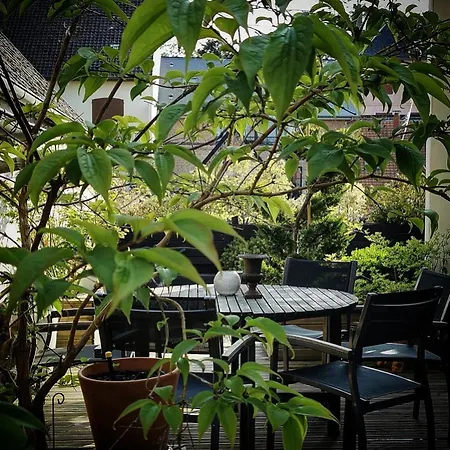 Du Jardin 4*